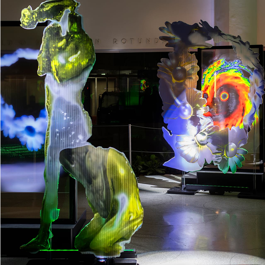 2024 YCC artist collaboration performance